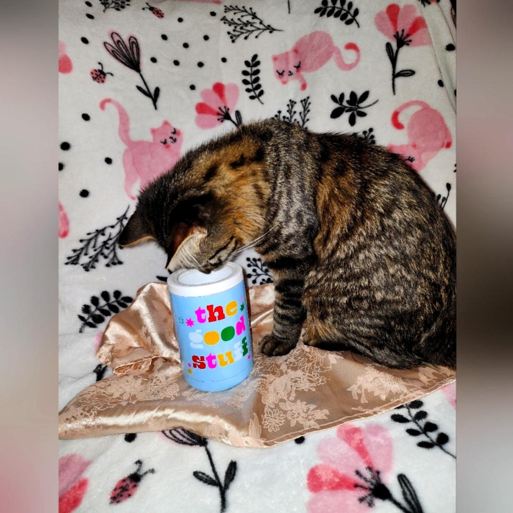 ✨️the good stuff✨️ insulated coozie